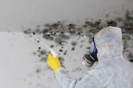 Best Mold Removal for HVAC Installations  in River Park, FL